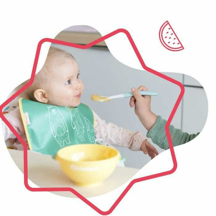 Set de recipiente pentru mâncare de bebe Babymoov B005107
