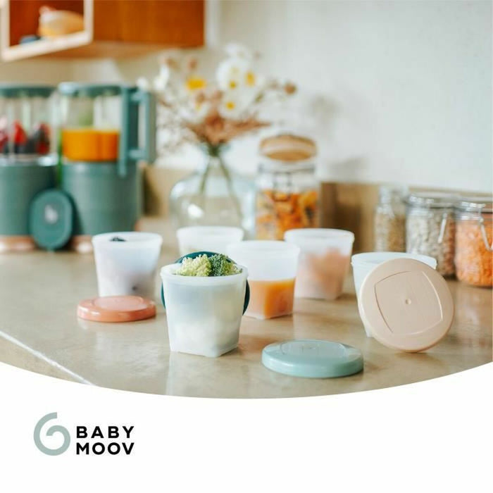 Set de Cutii pentru Prânz Babymoov A004318 Multicolor 3 Unități