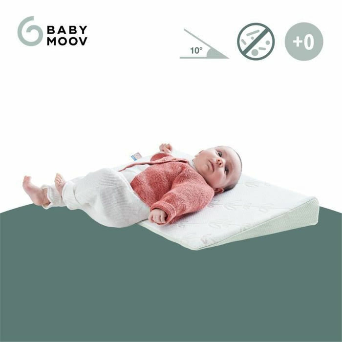 Pernă Babymoov A050014 60 x 120 cm