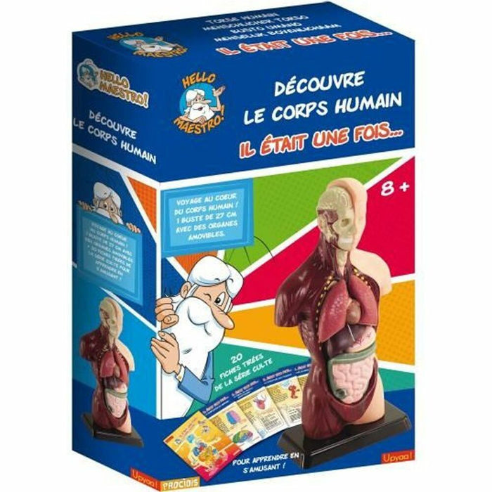 Joc de știință Educa HELLO MAESTRO Bust Anatomy (FR)