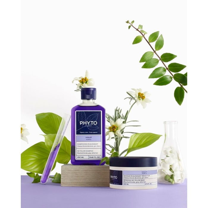 Cremă de Coafat Phyto Paris Violet 250 ml
