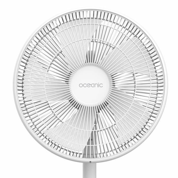 Ventilator cu Picior Oceanic