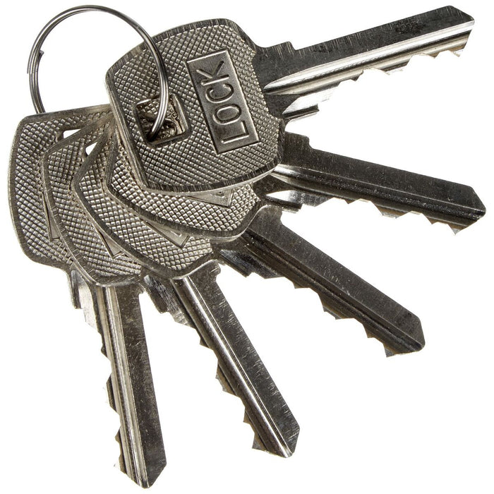 Încuietoare electrică SCS SENTINEL Lockelek404 Zinc