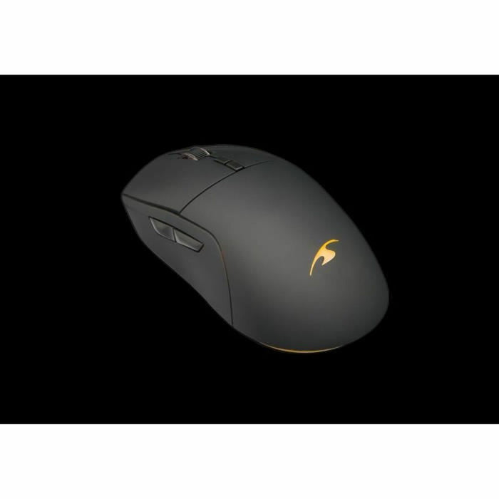 Tastatură și Mouse Bluestork Souris sans fil Negru