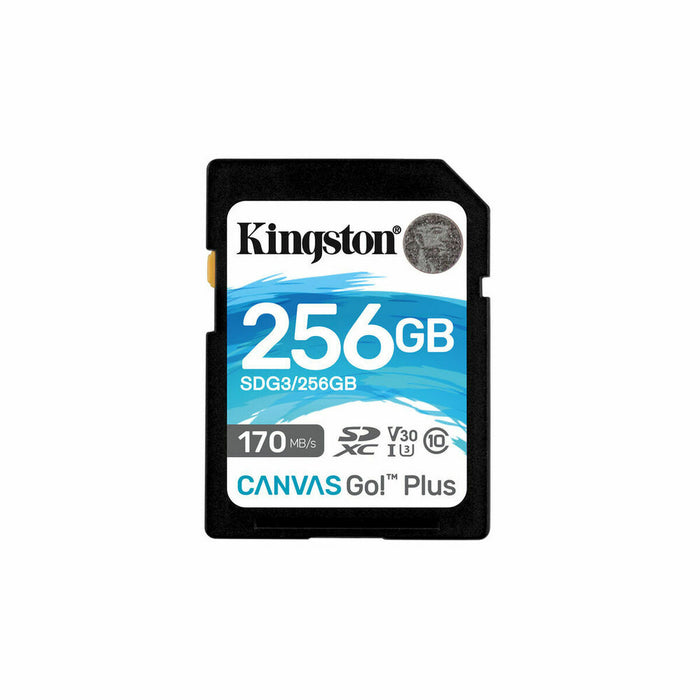 Card de Memorie SD Kingston SDG3/256GB