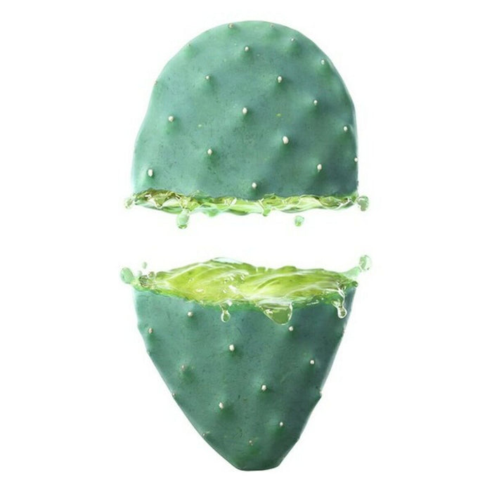 Gel pentru Zona din Jurul Ochilor Cactus Opuntia Weleda 00644300 10 ml