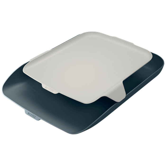 Tavă de arhivare Leitz 52590089 Gri A4 Aluminiu