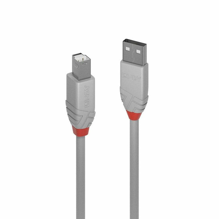Cablu USB A la USB B LINDY 36682 Gri