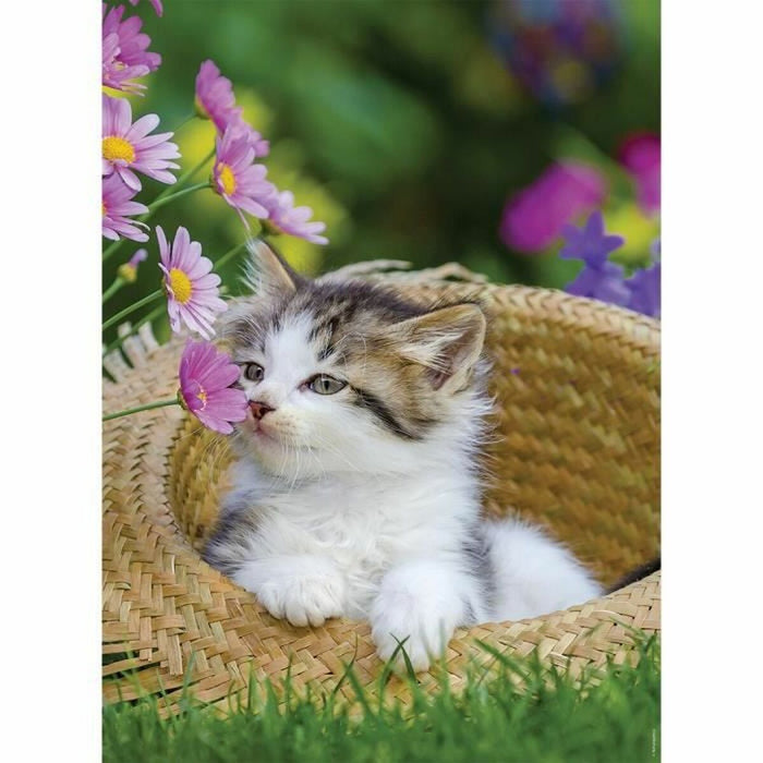 Puzzle Ravensburger Kittens 2 x 500 Piese