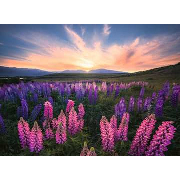 Puzzle Ravensburger 17492 Lupines 500 Piese