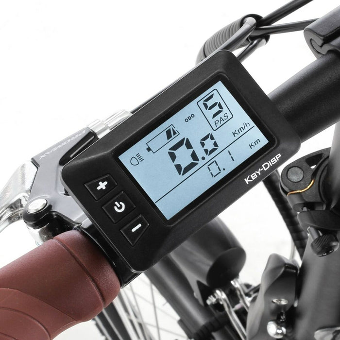 Bicicletă Electrică Fischer FR 18 Negru 250 W