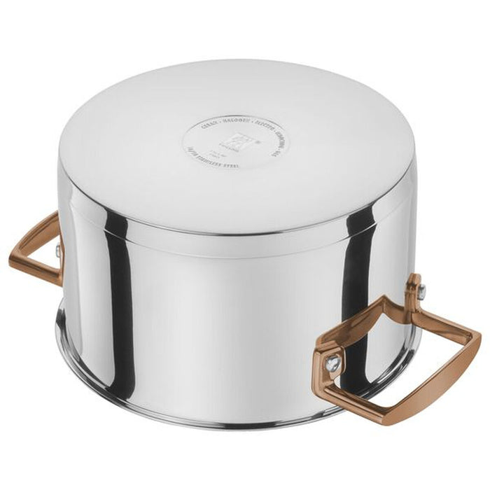 Vase de Gătit Zwilling Bellasera Auriu* Oțel 5 Piese (5 Unități)