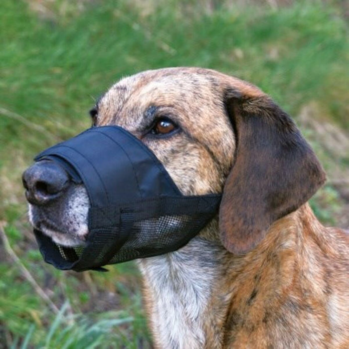 Botniță Trixie   Negru S
