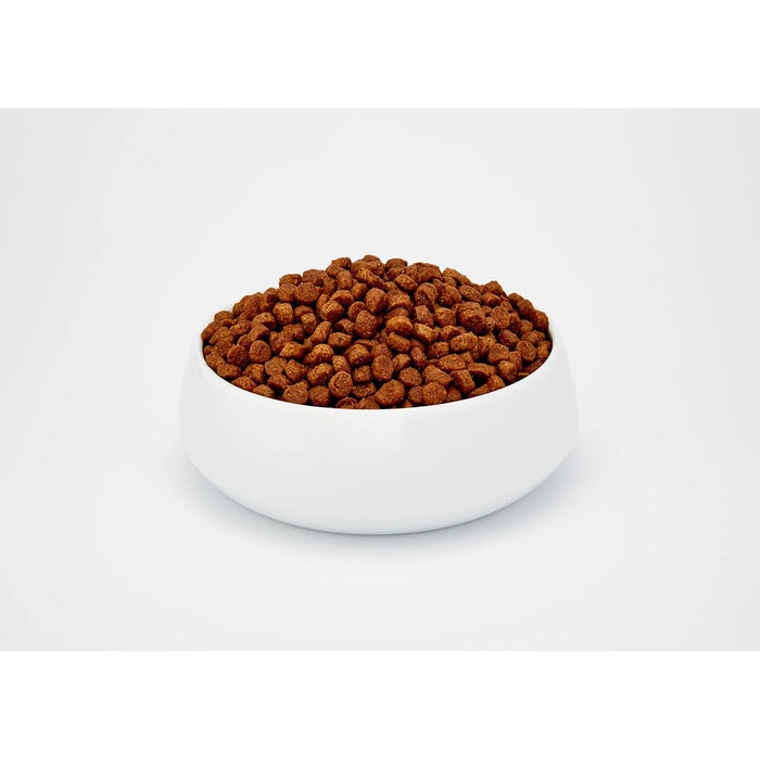 Mâncare pentru pisici BOSCH ADULT Adult Pui Păsări 10 kg