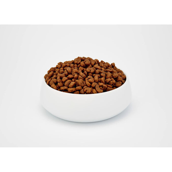 Mâncare pentru pisici BOSCH Urinary Adult Păsări 10 kg