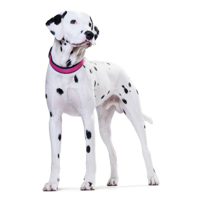 Zgardă pentru câini Hunter Neopren Vario Fucsia (45-50 cm)