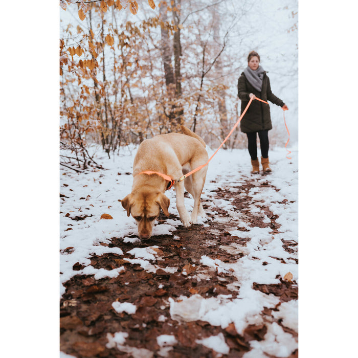 Zgardă pentru câini Hunter Convenience 53-61 cm L/XL Portocaliu