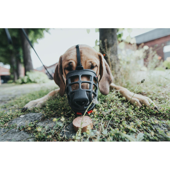 Botniță Hunter Albury Negru 2