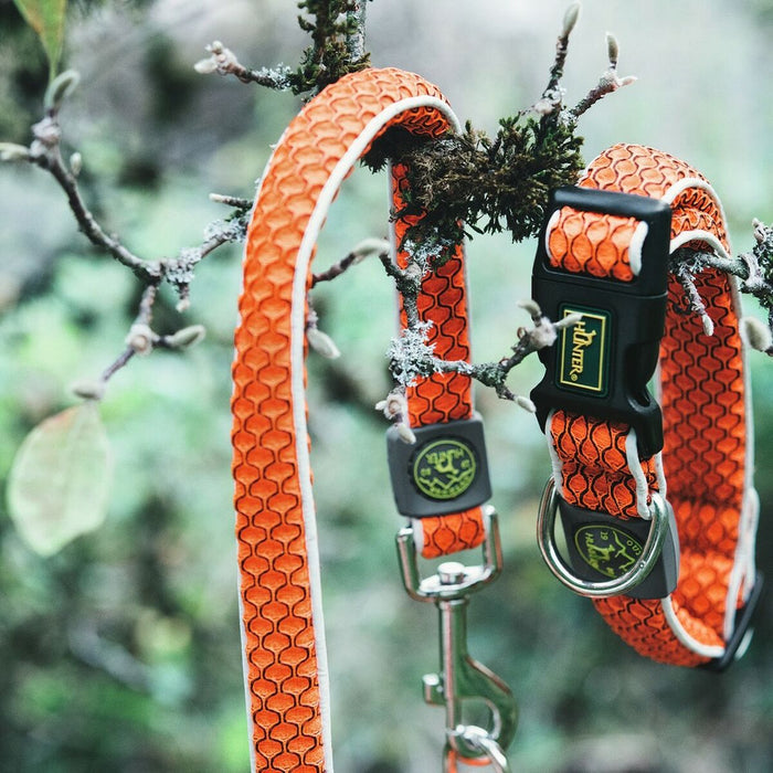Zgardă pentru câini Hunter Basic Fir Portocaliu Mărimea S Orange (30-43 cm)