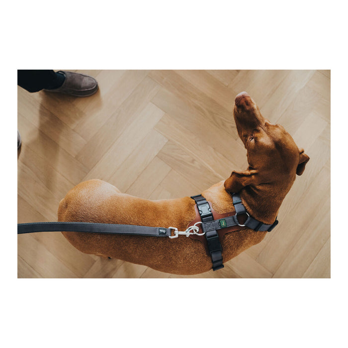 Lesă pentru câine Hunter DIVO & MALDON 2 x 100 cm Gri