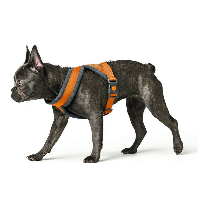 Ham pentru câini Hunter London Comfort 48-56 cm Portocaliu Mărimea S/M