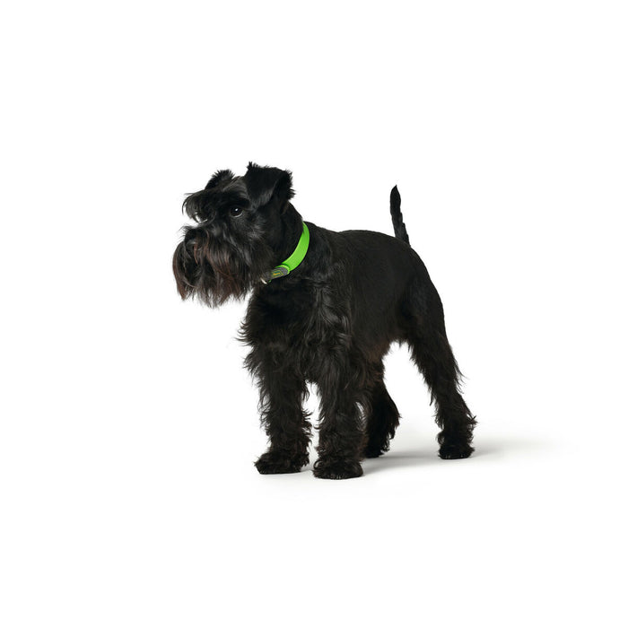 Zgardă pentru câini Hunter Convenience 23-31 cm Verde XS/S