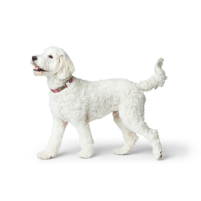 Zgardă pentru câini Hunter Inari Roșu XL 45-65 cm