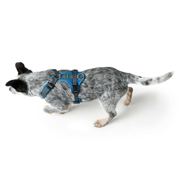 Ham pentru câini Hunter Maldon Up Albastru 66-118 cm