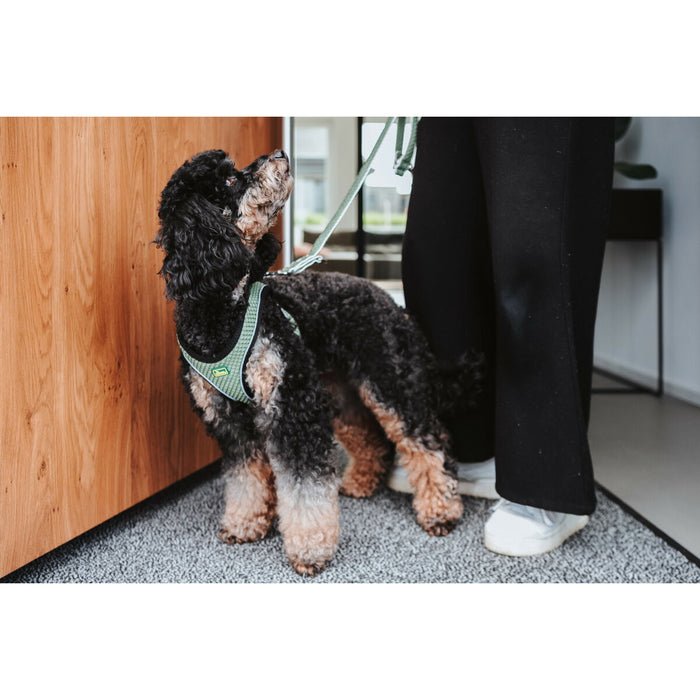 Ham pentru câini Hunter Comfort Verde 30-35 cm