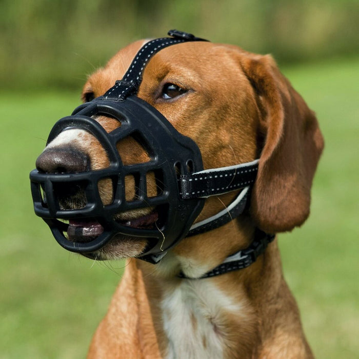 Botniță Trixie Negru Monocrom L/XL 30 cm