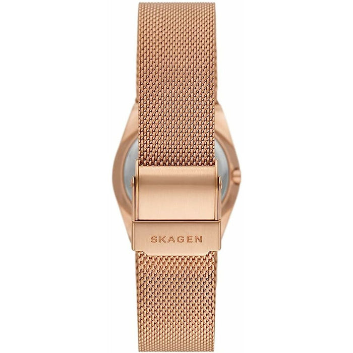 Ceas Damă Skagen SKW3035