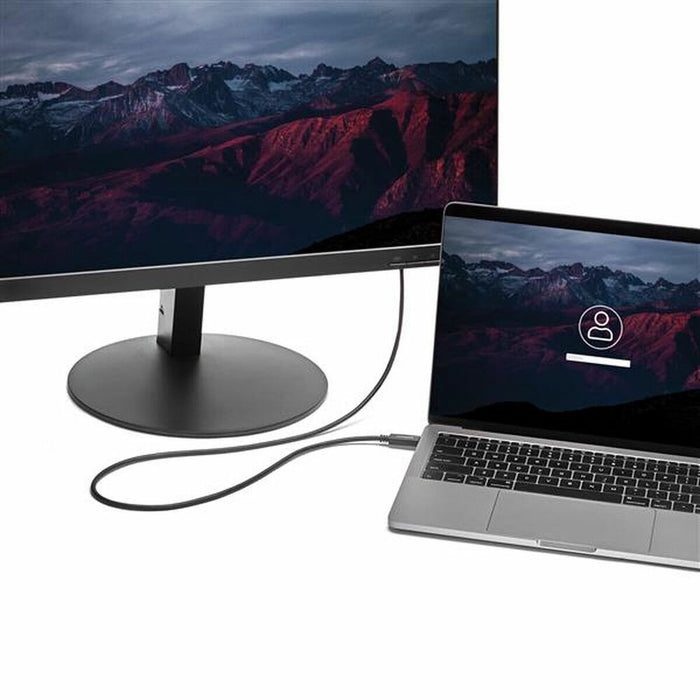 Cablu USB C la VGA Startech CDP2VGAMM2MB 2 m Negru