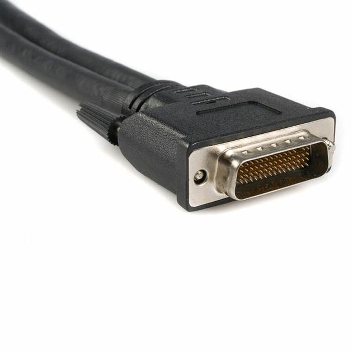 Cablu DMS-59 la VGA Startech DMSVGAVGA1           Negru 0,2 m