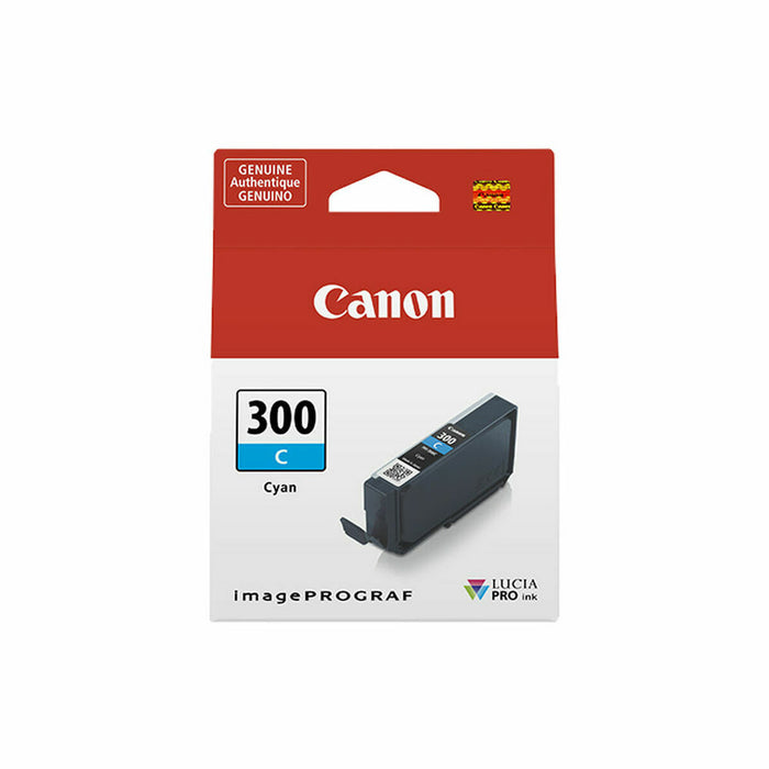 Cartuș cu Cerneală Originală Canon 300