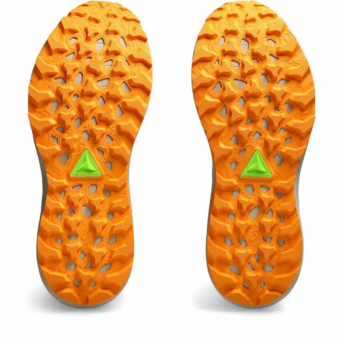 Încălțăminte de Running pentru Adulți Asics Gel-Trabuco 12 Mentă Maro Deschis
