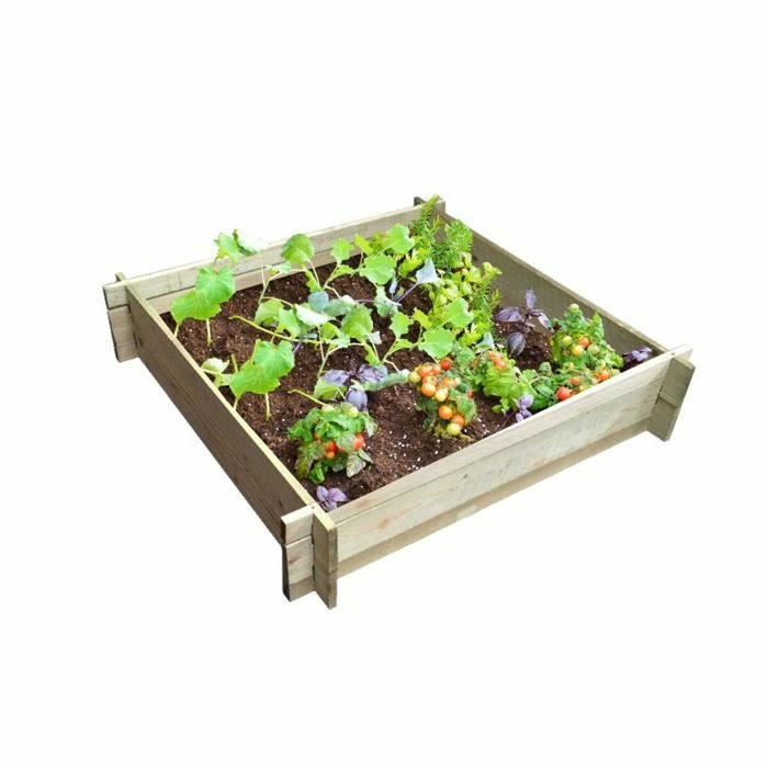 Cutie Ekju Set de cultivare