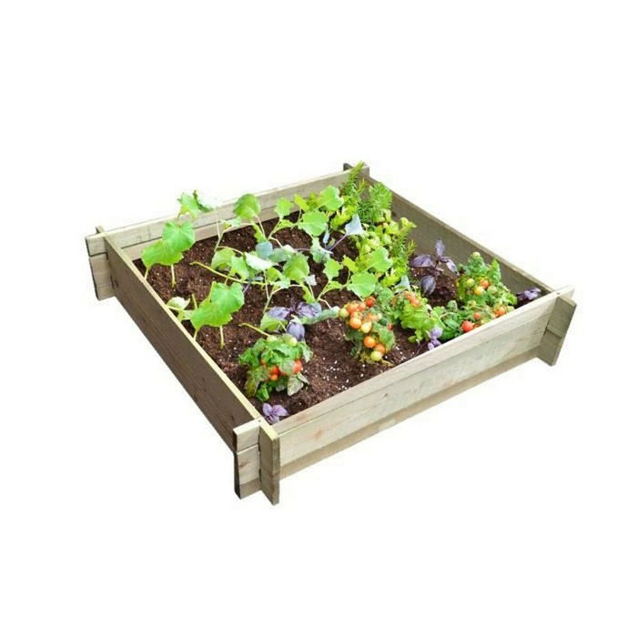Cutie Ekju Set de cultivare