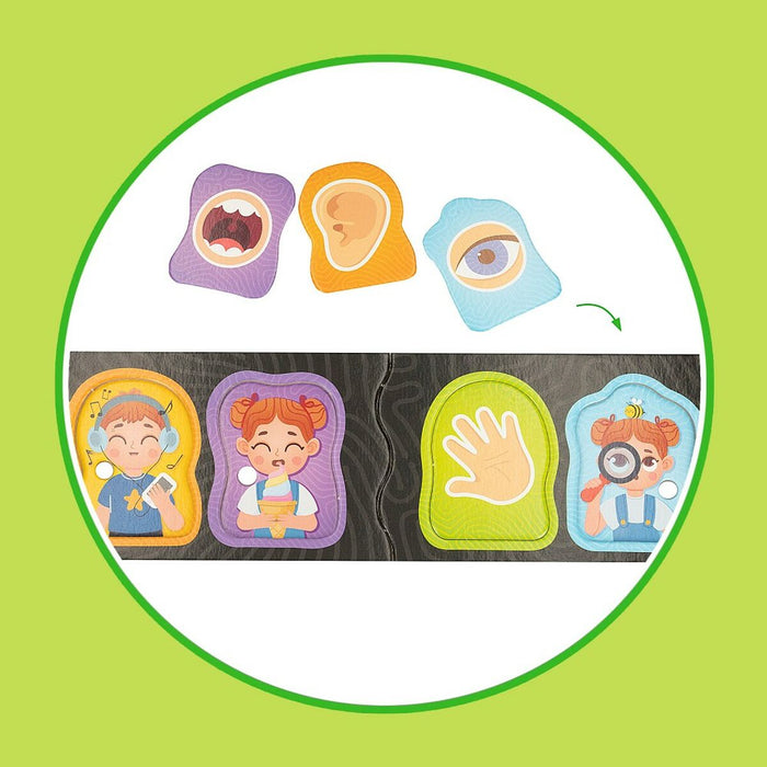 Joc Educativ Lisciani Baby Doctor 22,5 x 0,5 x 47,5 cm (6 Unități)