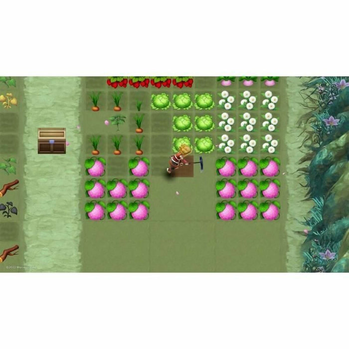 Joc video pentru Switch Just For Games RuneFactory: Special