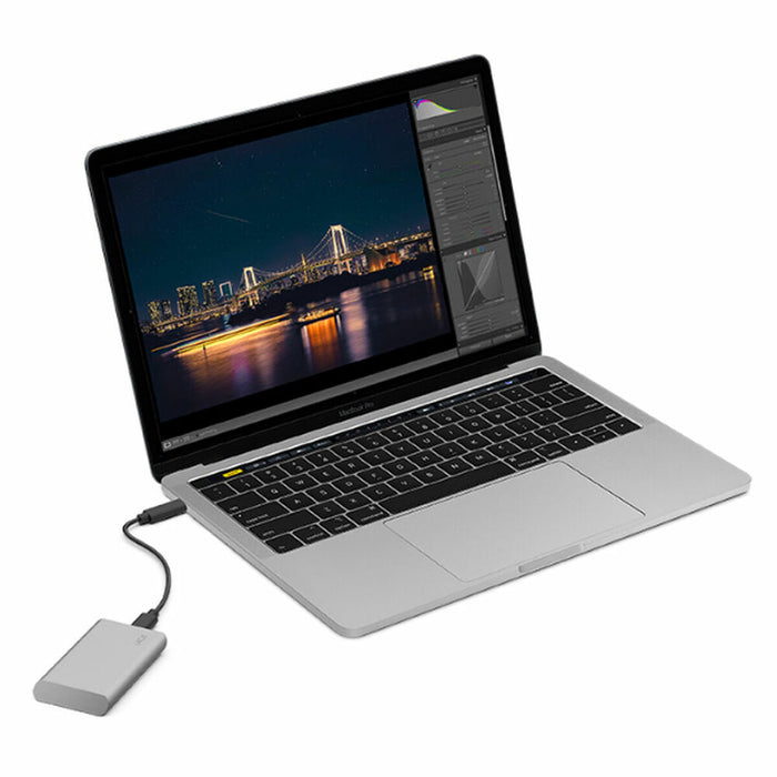 Hard disk Extern Seagate STKS1000400 2,5" 1 TB SSD