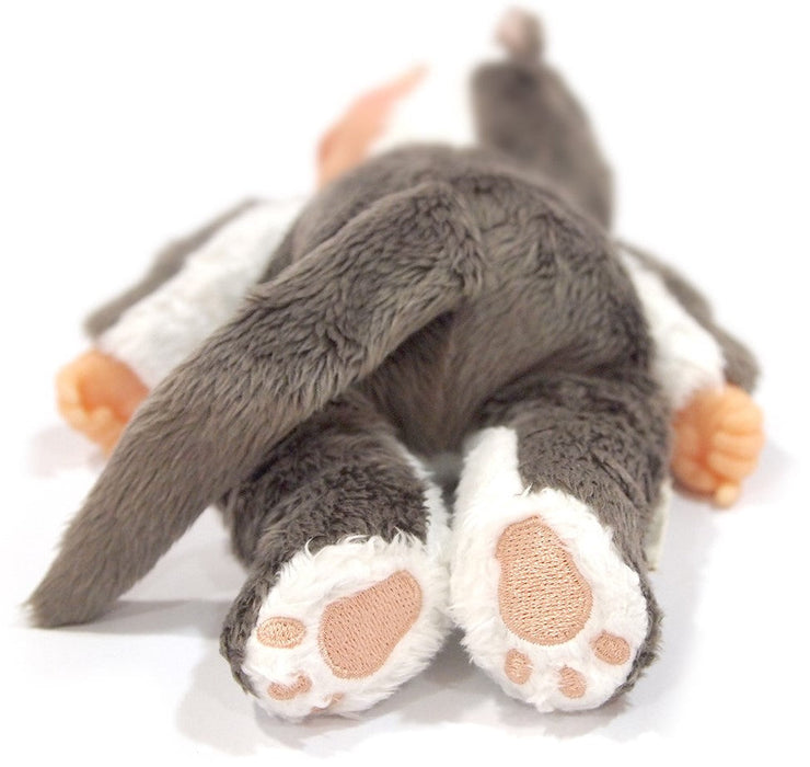 Păpușă Anne Geddes Baby Kitten, 23 cm, 18+ luni