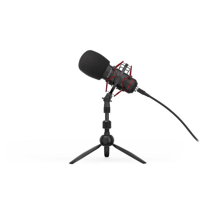 Microfon Endorfy EY1B002 Negru