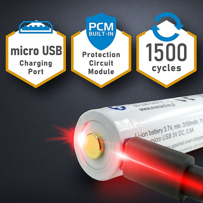 Baterie reîncărcabilă EverActive FWEV1865032MBOX 18650 3200 mAh 3,7 V