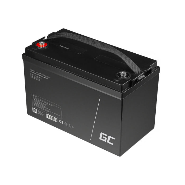 Baterie pentru Sistem de Alimentare Neîntreruptă Green Cell AGM30 100 Ah 12 V