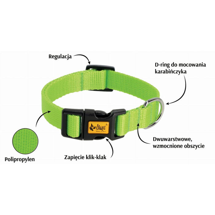 Zgardă pentru câini Dingo 14749 Verde 28 cm 20 cm