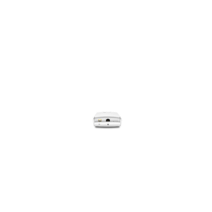 Punct de Acces TP-Link EAP110-Outdoor Alb