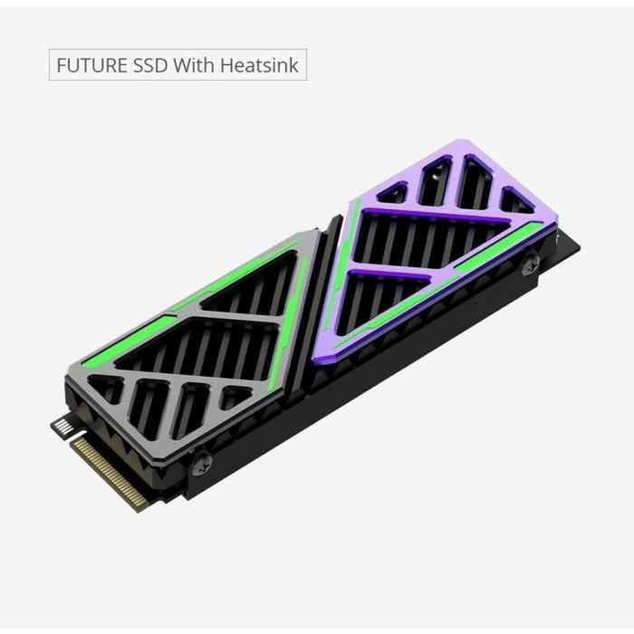 Hard Disk Hiksemi FUTURE 1 TB SSD
