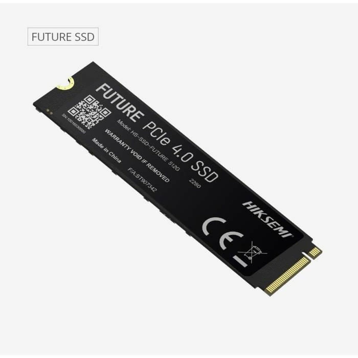Hard Disk Hiksemi FUTURE 1 TB SSD