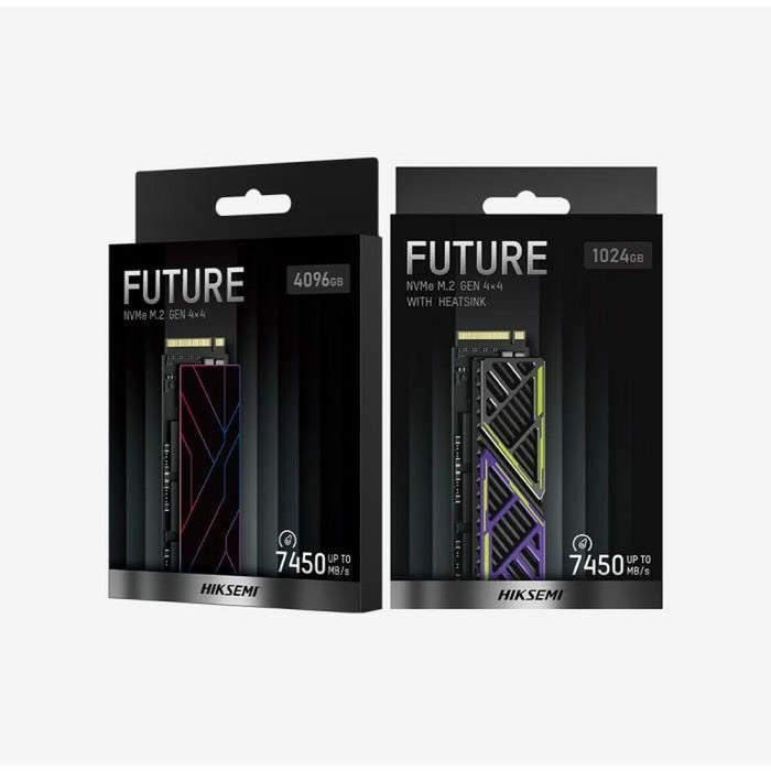 Hard Disk Hiksemi FUTURE 1 TB SSD
