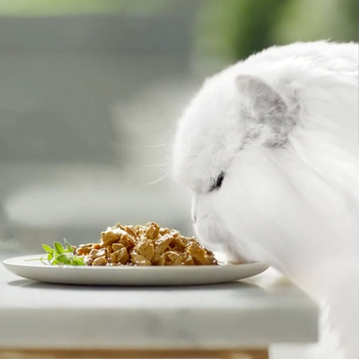 Hrană umedă Purina GOURMET 340 g